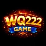 WQ222 on Android: 2026 APK Setup and Feature Overview